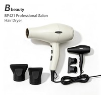 Sèche-cheveux ionique professionnel 2600W pour usage domestique et en salon, moteur AC puissant et silencieux pour applications en extérieur et hôtelières