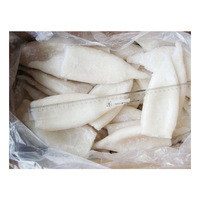 Poisson congelé, tube de calmar congelé, fruits de mer, tube de calmar Illex d'Argentine, Loligo, U3, U5, U10