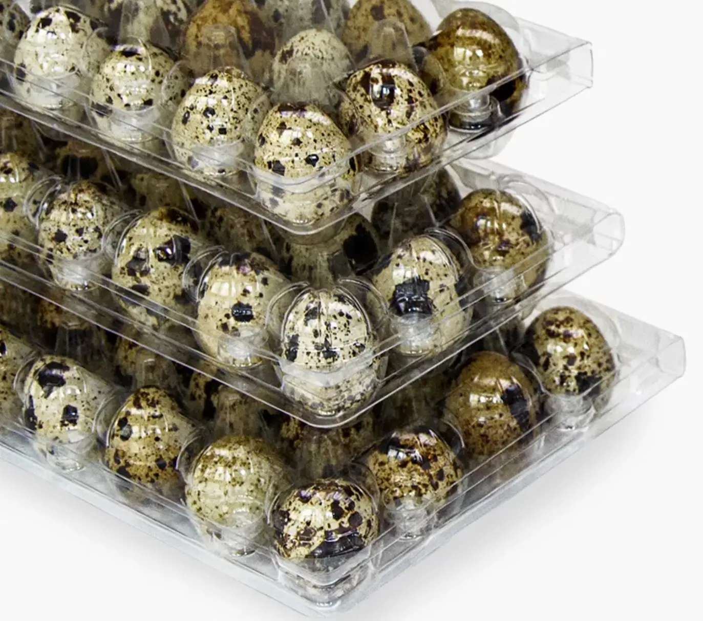 Caja de cartón desechable para huevos de codorniz con 15 agujeros, bandeja de plástico con tapa transparente, embalaje de burbujas para mascotas, 16,6x10,5x3,9 cm, venta al por mayor