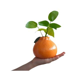 לוגו מותאם אישית קרמי ירוק צמח חמוד כתום כסף דשא פרח ירוק אגרטל סימולציה סלון שולחן שולחן אגרטל - Product Image 5