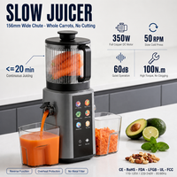 Extracteur de jus à froid commercial à mastication lente DC, goulotte large, rendement élevé, silencieux, 350W, pour smoothies et lait végétal, CE FDA, auto-nettoyant