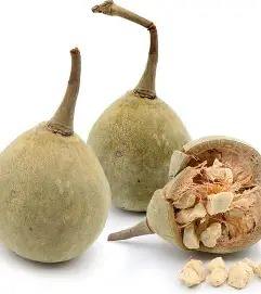 Poudre d'extrait de fruit de Baobab biologique 100% pure, matière première pour boissons et aliments santé - Product Image 5