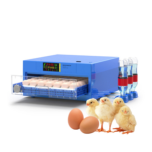 Máy Ấp Trứng Gà Quil Mini /Icubator, Máy Ấp Trứng Tự Động Cho Máy Ấp Trứng - Product Image 4