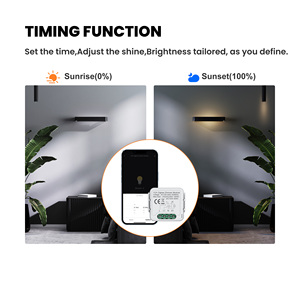 Modulo Interruttore Dimmer Intelligente Tuya Zigbee 1/2 Gang per il Controllo dell'Illuminazione, per l'Integrazione nella Catena di Approvvigionamento Commerciale Europea - Product Image 5