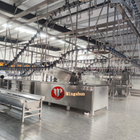 2026 Ligne d'Abattage de Volaille Complète Automatique pour Abattoirs Industriels