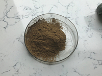 Supplément de soins de santé directement fourni par l'usine Extrait de feuille de Ginkgo Biloba