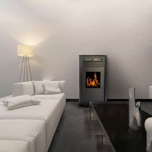 Poêle à granulés en fonte, chaudière à eau, brûleur à granulés, foyer, chauffage central - Product Image 2