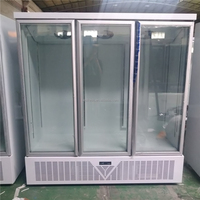 Congélateur vertical à porte vitrée triple couche isolée, vitrine de congélation commerciale éclairée par LED, refroidissement par air