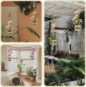 HuashenPersonnalisé En Gros En Bois Condole <span class=keywords><strong>Orchidée</strong></span> <span class=keywords><strong>Pot</strong></span> De Fleur Intérieur Et Extérieur <span class=keywords><strong>Pot</strong></span> De Fleur Carré Panier <span class=keywords><strong>Suspendu</strong></span> <span class=keywords><strong>Pot</strong></span> De Fleur - Product Image 5