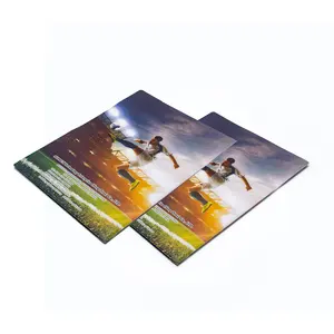 Chinese Factory printed plastic file folder PET Document Stationery Portfolio foldable flat packing for file holding stationery