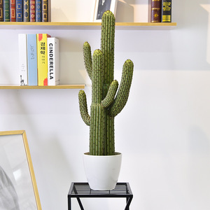 QIHAO Artificial Cactus Plant Various Sizes High Simulation Indoor Decorative Potted Greenery - Product Image 2