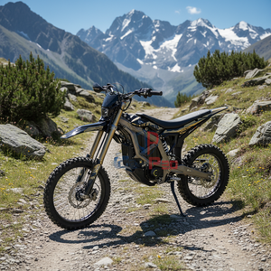 Gonped 2026 Sur-ron Ultra 24.5kW Dirt Bike 74V 60Ah Batterie 95km/h Vélo électrique en stock dès maintenant 2026 Sur-ron Ultra Bee 21kW - Product Image 1