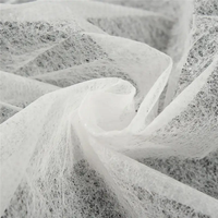 Vente en gros de tissu non tissé agricole 100% polypropylène, résistant aux déchirures, léger, couverture pour plantes, antigel