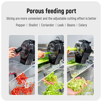 Hacheur alimentaire commercial ASAKI, robot culinaire électrique, mini-machine à couper les légumes, chili, carotte, gingembre