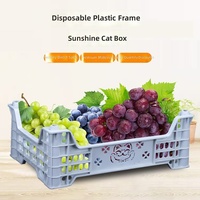 Sunshine Bac de rangement rectangulaire en plastique ajouré haute résistance pour fruits et légumes, type caisse, pour roses, baies et raisins