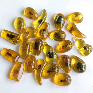 Pendentif spécimen d'insecte véritable ambre phosphorescent boîte aveugle archéologique pour enfants accessoires résine insecte ambre dessin animé - Product Image 3