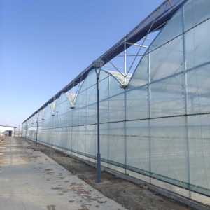 Invernadero conectado de película fina de alta eficiencia para una <span class=keywords><strong>agricultura</strong></span> <span class=keywords><strong>sostenible</strong></span> - Product Image 5
