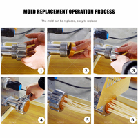 Machine à pâtes commerciale compacte pour spaghetti frais et nouilles de maïs