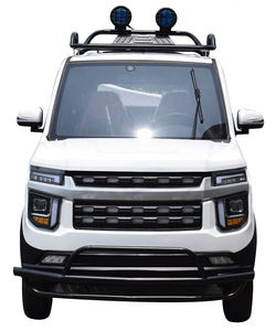 Véhicules électriques à 4 roues pour adultes, vente directe usine 2026, petit modèle, carrosserie ouverte, usage cargo, moteur 1500W, charge utile 500kg - Product Image 2