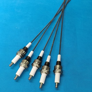 Électrode <span class=keywords><strong>d</strong></span>'<span class=keywords><strong>allumage</strong></span> de chaudière en céramique, tige en céramique résistante à l'usure, filetage NPT 1/4 personnalisé - Product Image 4
