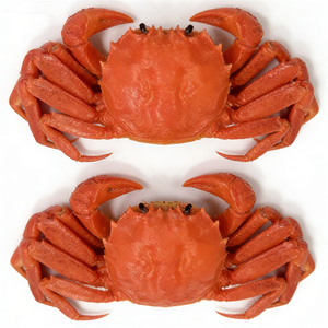 Modelo de Comida Simulada de Cangrejo Azul Cocido Rojo de Plástico Ecológico de 15 cm, PVC Circular, para la Industria de la Hostelería, Exhibición y Decoración - Product Image 1