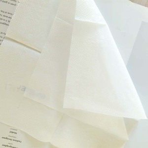 230Mm 2-Lớp Nổi Màu Thanh Khăn Ăn Mềm Bột Giấy Trinh Nữ Serviettes Đồng Bằng Phong Cách Túi Ăn Trưa Khăn Ăn Trong Kho - Product Image 3