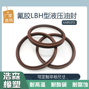 Joint hydraulique en fluororubber LBH, bague anti-poussière, 11,2-230 mm, résistant aux hautes températures, joint de cylindre - Product Image 4