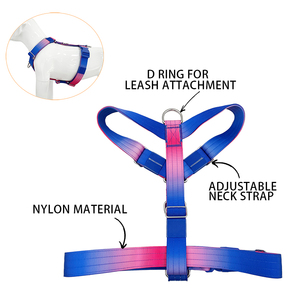 Fabricante sin tirones ajustable <span class=keywords><strong>Arnes</strong></span> Perro Chaleco de entrenamiento de nailon Reino Unido táctico caminar perro arnés y collar Correa conjunto para perro grande - Product Image 6