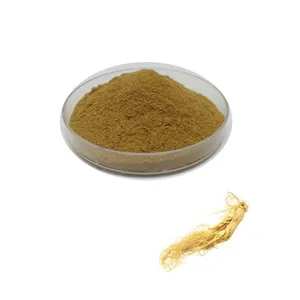 Pure Ginsenoside 10% Ginseng Root Ginseng Leaf Extract for Health Food