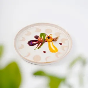 ユニークなデザインのレストラン使用食器カスタム皿プレートモダンな月の形白いセラミック磁器ディナープレート