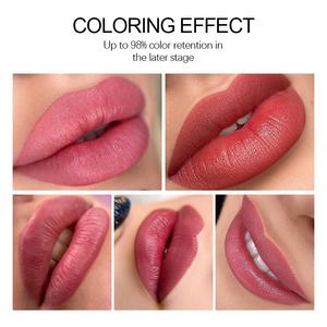 Original alemán Aimoosi Micropigment maquillaje permanente tatuaje tintas ceja delineador de ojos pigmento de labios - Product Image 6