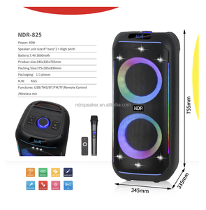 NDR Loa Hot Bán Để <span class=keywords><strong>Sri</strong></span> <span class=keywords><strong>Lanka</strong></span> Đôi 8 "Đầy Màu Sắc Ánh Sáng Loa 40W Dj Âm Thanh Loa NDR-825 - Product Image 4