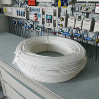 UL10203 20AWG 1,97mm Cable de alto voltaje 1000V 150 grados FEP Cable de alimentación de cobre subterráneo Cable eléctrico