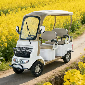 Minibús A5 de Cuatro Ruedas con Toldo, Cuatro Asientos, para Personas Mayores y Discapacitadas, Scooter Eléctrico Familiar con Motor de 650w - Product Image 3