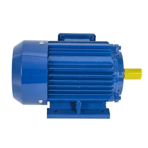 Highly Efficient YE3-100L-2 Series 3KW 4HP 2P 380V Ac Motors 3 Phase Asynchronous Electric Motors