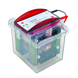 Мини-белковая система вертикального электрофореза - Product Image 2