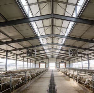 Rumah Gudang Pertanian Struktur Baja Pracetak Desain Industri Garansi 5 Tahun untuk Pembiakan Domba Kambing-ZHILIAN STEEL - Product Image 1