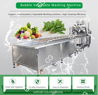 Industriële fruit- en ananasborstel- en wasmachine met lager & motor 380V/220V