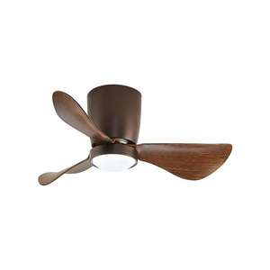 Ventilateur de plafond à télécommande de petite taille 24 pouces pour salon intérieur, personnalisé OEM ODM, avec lumières LED - Product Image 1