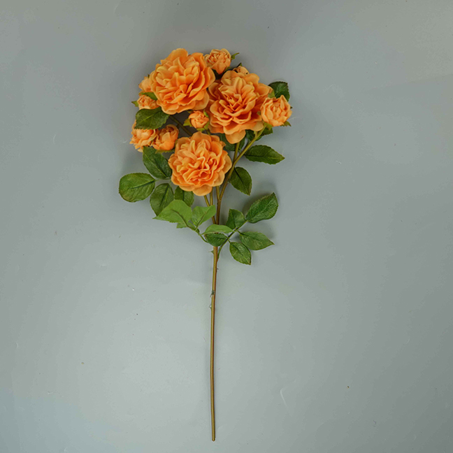 Naranja claro