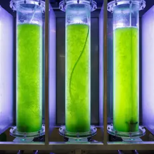High Visual Light-transmitting Transparent Acrylic PMMA Fiberglass Flat Bottom Algae Tanks For Aquaculture Industry