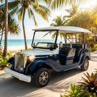 Tarion - Coche Eléctrico Vintage de Alta Calidad para 8 Personas con Batería de Litio, Motor Asíncrono de CA de 4.0KW, Suspensión Delantera MacPherson, 30Km/h
