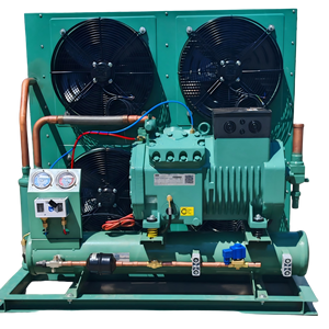 Unité de condensation hermétique à piston pour chambre froide et congélateur 5HP 6HP 7HP 8HP 10HP 12HP 15HP 20HP 25HP 380V / 440V - Product Image 1