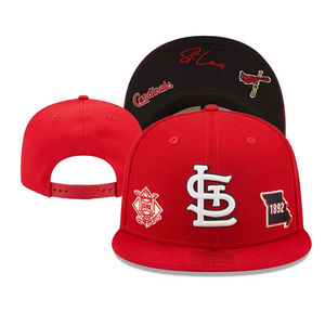 OEM pas cher personnalisé 6 panneau unisexe brodé Snapback casquettes tissu taille réglable plat Bill Hip Hop Snapback chapeau - Product Image 4