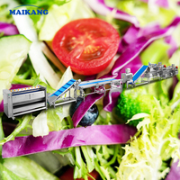 Línea de Procesamiento de Ensaladas de Vegetales de Alta Eficiencia, Línea Industrial de Lavado de Vegetales de Hoja para Fábricas de Vegetales Listos para Comer