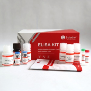 Solarbio Chất lượng cao Chuột dickkopf liên quan đến protein 1 dkk1 Elisa Kit cho nghiên cứu khoa học - Product Image 2