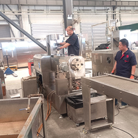 Ligne de production complète automatique d'aliments pour chiens faisant la machine Machine de traitement d'aliments pour animaux de compagnie avec certification CE