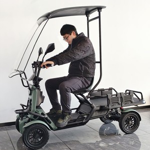 Scooter multifonctionnel 4 roues 48V 500W 13 pouces 25 km/h pour loisirs en extérieur, livraison de nourriture et publicité, avec auvent - Product Image 1