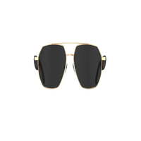 Lunettes Intelligentes W100C Assistant IA Lecteur de Musique Appels Vocaux et Téléphoniques Capture Vidéo pour Traduction IP67
