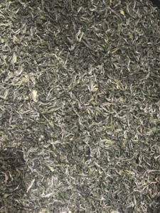 Té verde de alta calidad Mingqian <span class=keywords><strong>Laoshan</strong></span>, té verde de Qingdao, China, producción de Año Nuevo de té verde saludable a granel - Product Image 5